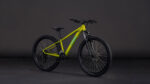Cube Acid 260 Disc lizard´n´blue – Bild 7