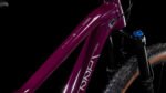 Cube Stereo ONE22 Race wine´n´grey – Bild 2