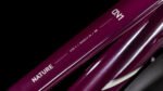 Cube Nature ONE Lady Allroad amarone´n´lunar – Bild 6