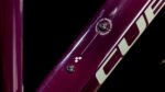 Cube Nature ONE Lady Allroad amarone´n´lunar – Bild 5