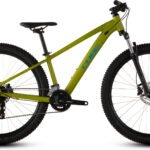 Cube Acid 260 Disc lizard´n´blue