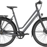 Gazelle Chamonix S11 Low-Step