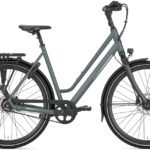 Gazelle Chamonix S8 Low-Step