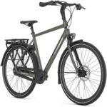Gazelle Chamonix C8 – Bild 2