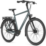 Gazelle Chamonix S8 – Bild 2