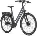 Gazelle Chamonix S11 Low-Step – Bild 2