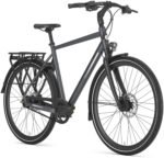 Gazelle Chamonix S11 – Bild 2
