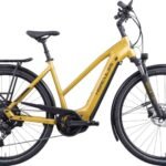 Hercules Futura I-10 625 Lady Gold