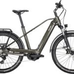 Kettler Quadriga Town & Country CX10 LG 625W-Akku Diamant