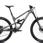 Radon SWOOP 9.0