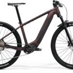 Merida eBIG.NINE 700 EP2 Dark Red