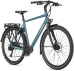 Gazelle Chamonix T20 – Bild 2